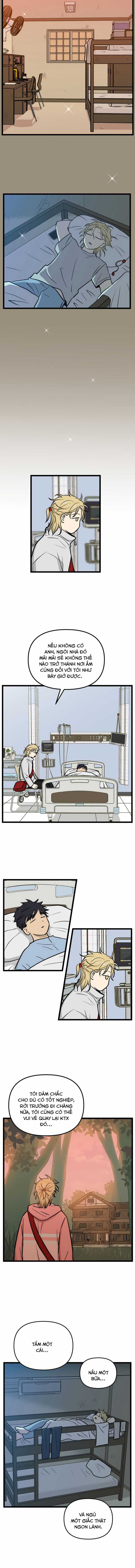 NO HOME - Chapter 267 - Trang 5