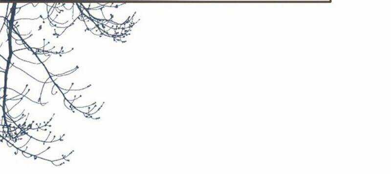 Nô Lệ Câm - Chapter 28 - Trang 16