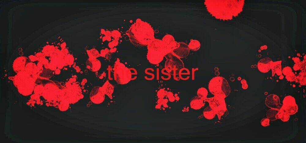 No Name ( The Sims ) - Chapter 3 - Trang 2