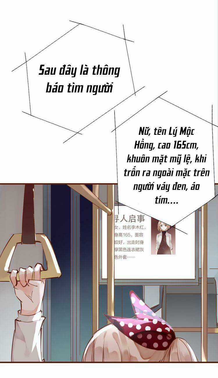 Nở Rộ Trên Bụi Gai - Chapter 21 - Trang 2