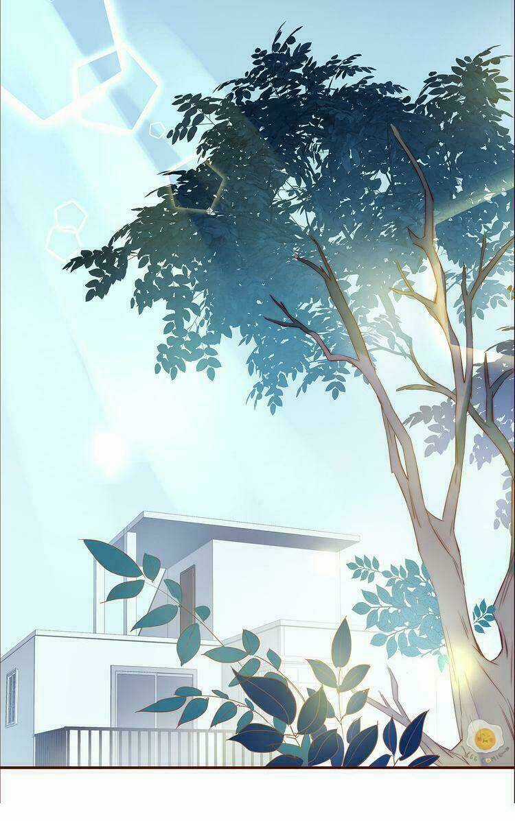 Nở Rộ Trên Bụi Gai - Chapter 3 - Trang 33