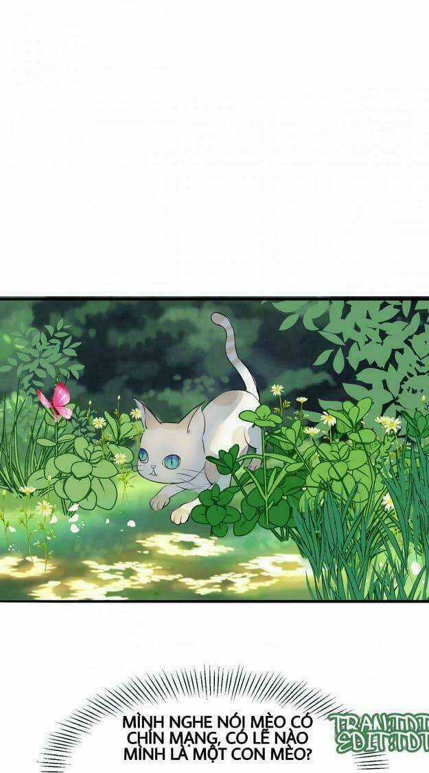 Nữ Đế Trọng Sinh - Chapter 8.2 - Trang 25