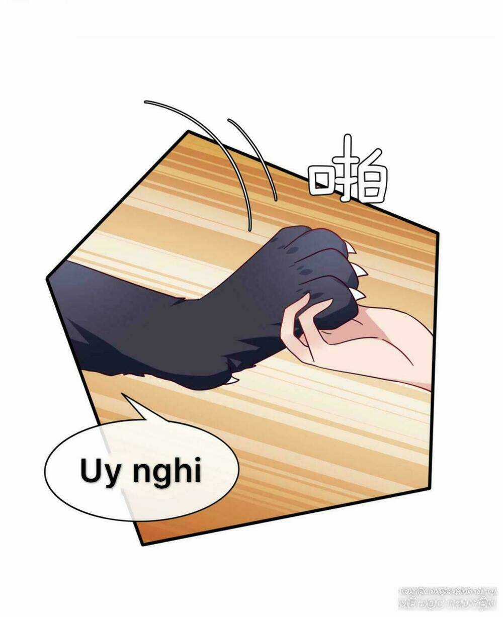 Nữ Hoàng Thú Sủng - Chapter 11 - Trang 1