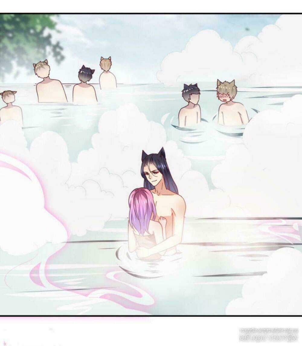 Nữ Hoàng Thú Sủng - Chapter 26 - Trang 1