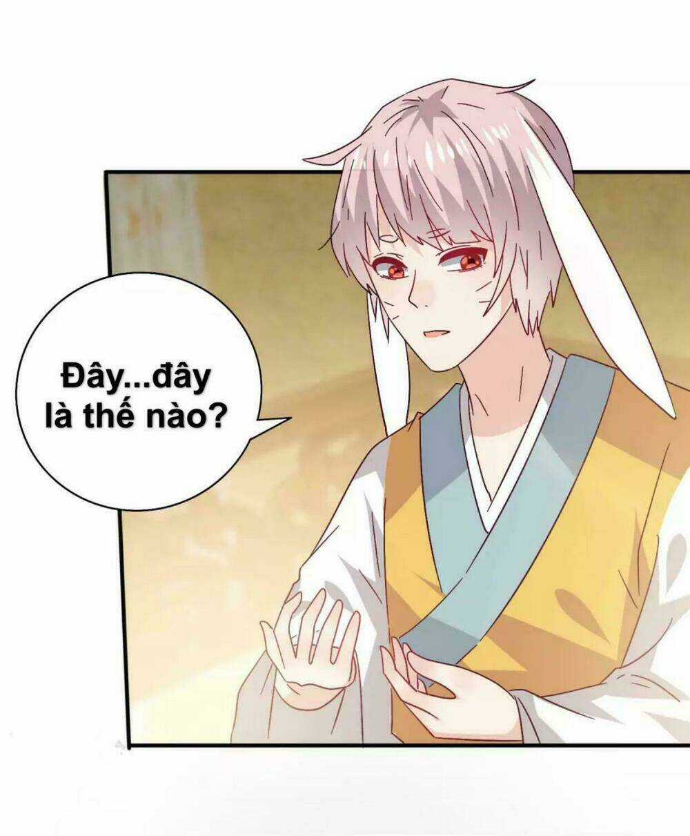 Nữ Hoàng Thú Sủng - Chapter 40 - Trang 2