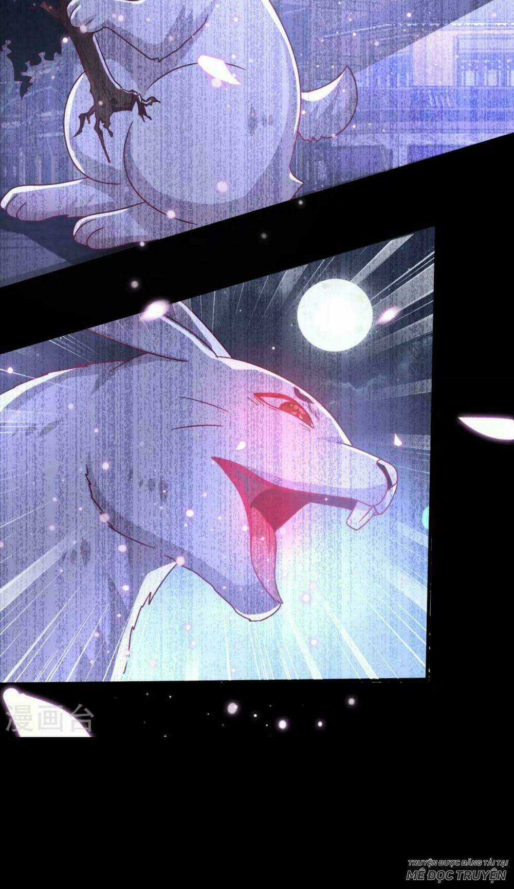 Nữ Hoàng Thú Sủng - Chapter 41 - Trang 11