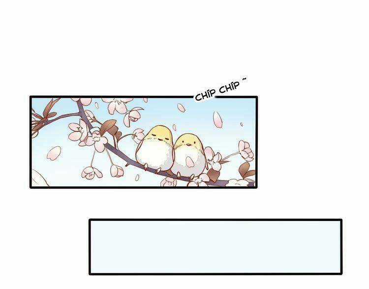 Nụ Hôn Hắc Vũ - Chapter 10 - Trang 24