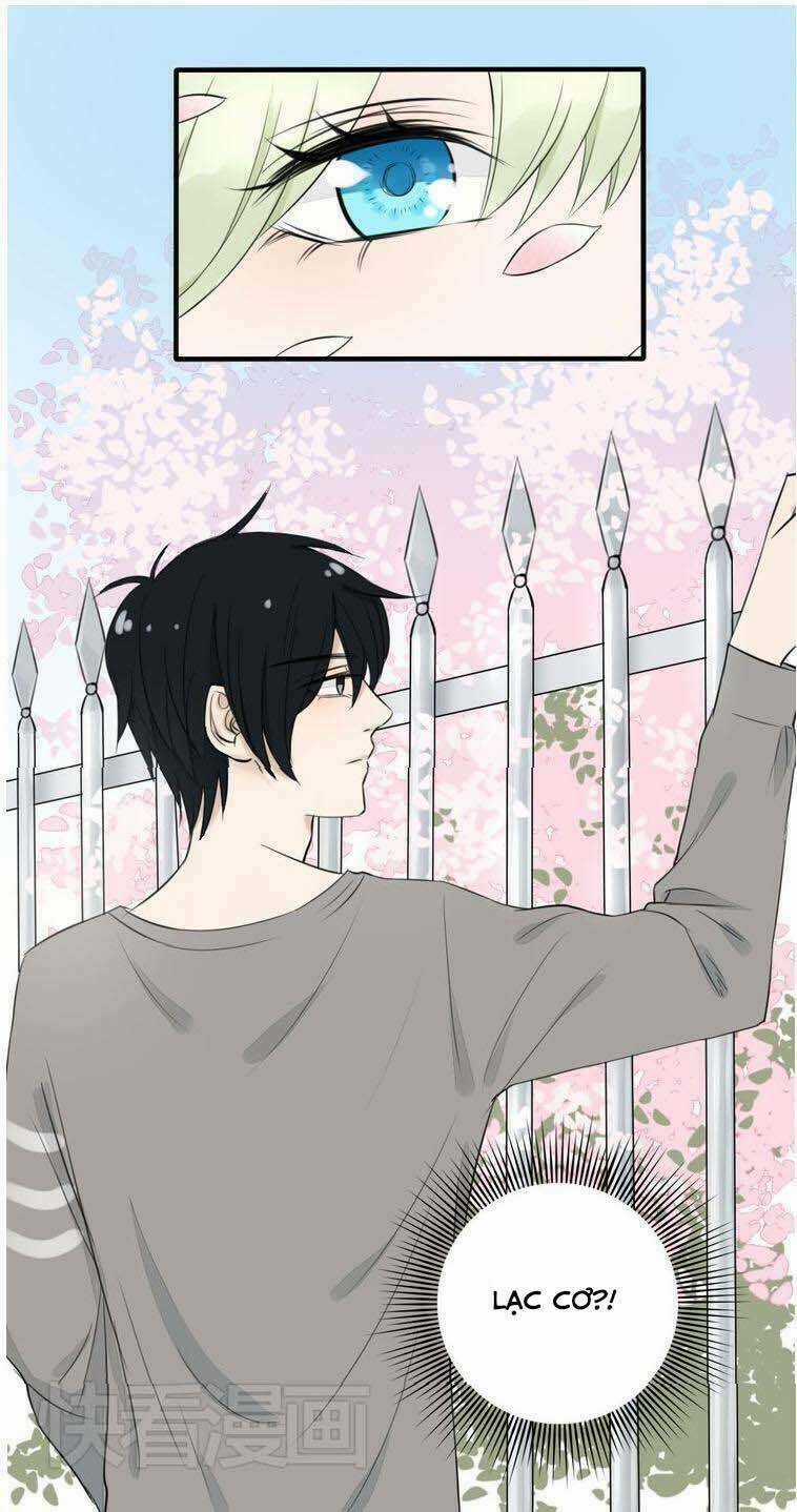 Nụ Hôn Hắc Vũ - Chapter 10 - Trang 41