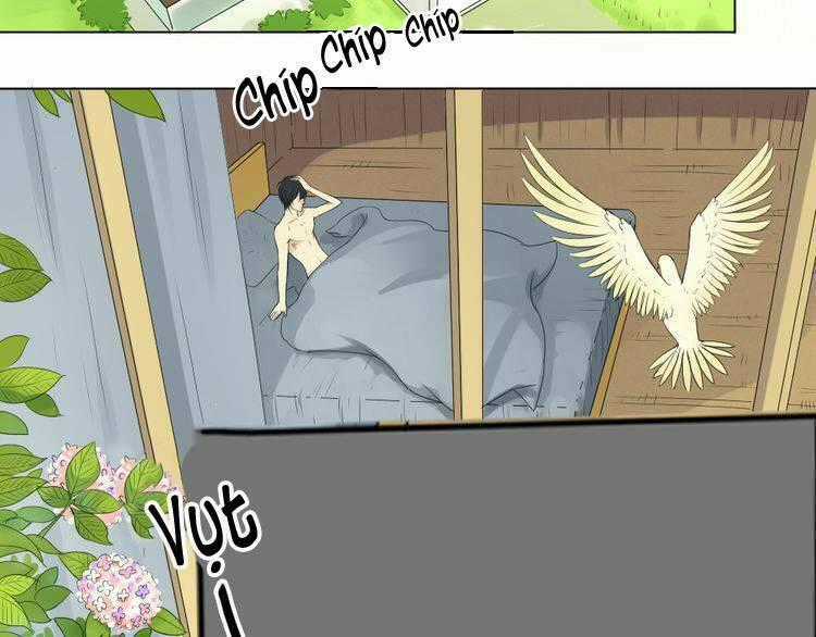 Nụ Hôn Hắc Vũ - Chapter 2 - Trang 10