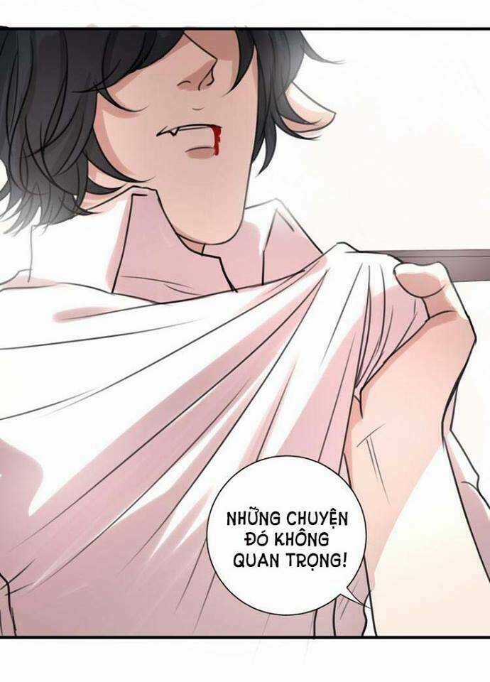 Nụ Hôn Hắc Vũ - Chapter 20 - Trang 16