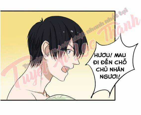 Nụ Hôn Hắc Vũ - Chapter 28 - Trang 35