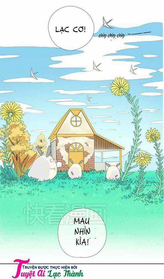 Nụ Hôn Hắc Vũ - Chapter 4 - Trang 20