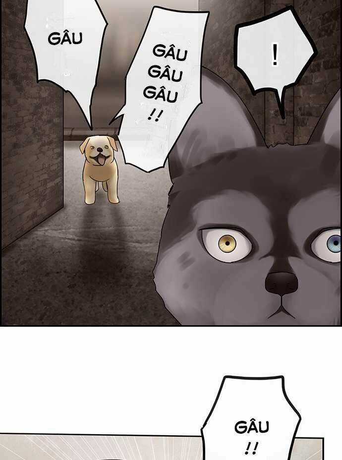 Nụ Hôn Nguyền Rủa - Chapter 28 - Trang 17