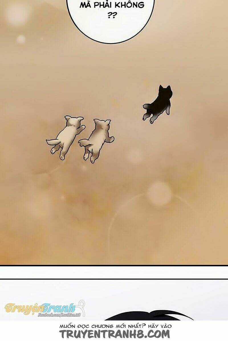 Nụ Hôn Nguyền Rủa - Chapter 64 - Trang 17