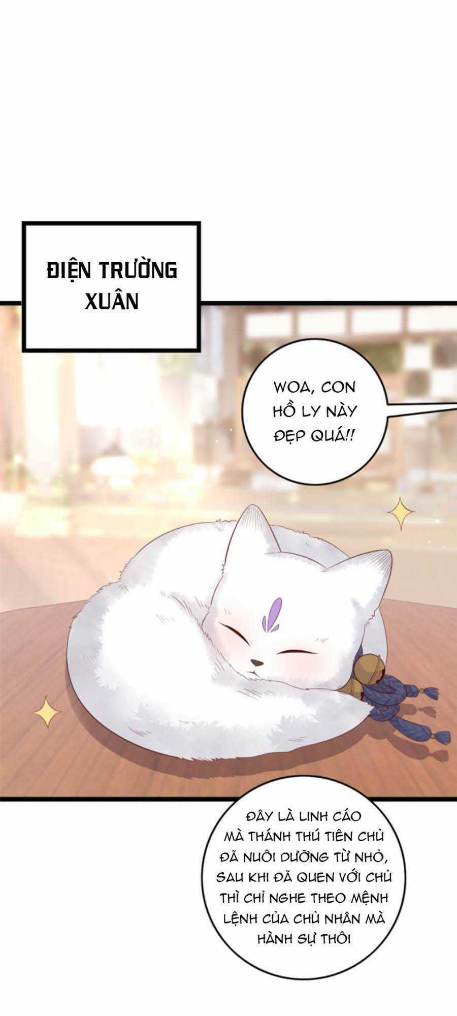 Nữ Phụ Không Thể Chọc Giận - Chapter 13 - Trang 14