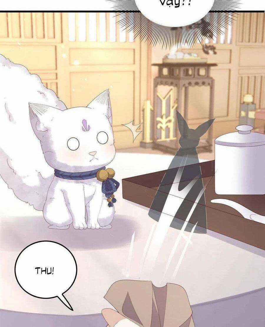 Nữ Phụ Không Thể Chọc Giận - Chapter 95 - Trang 24