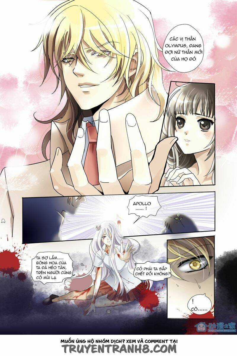 Nữ Thần Nghèo Khổ - Chapter 2 - Trang 4