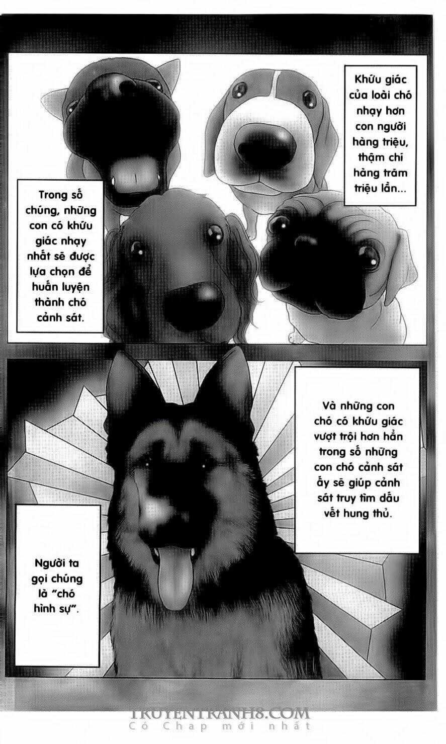 Nữ Thanh Tra Cún Con - Chapter 1 - Trang 2
