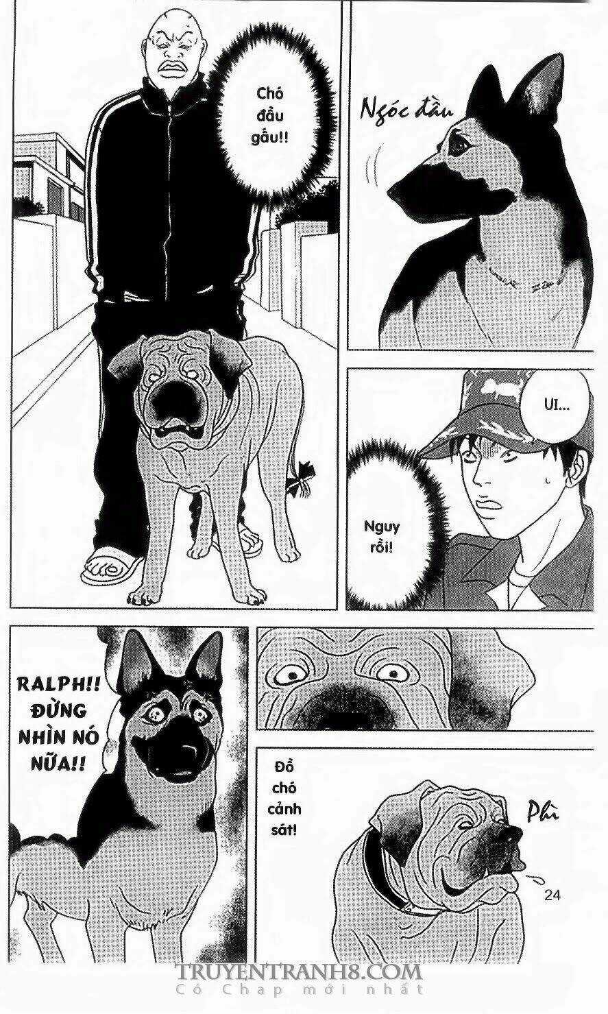 Nữ Thanh Tra Cún Con - Chapter 34 - Trang 22