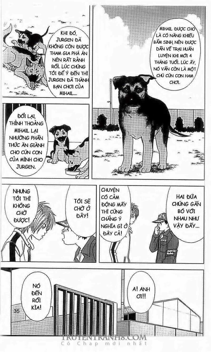 Nữ Thanh Tra Cún Con - Chapter 35 - Trang 2