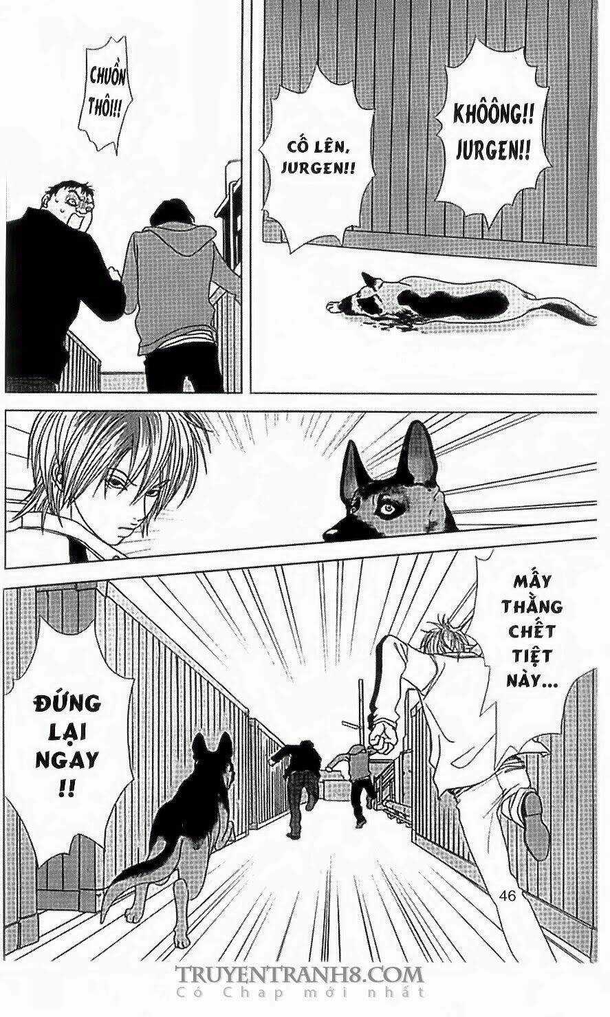 Nữ Thanh Tra Cún Con - Chapter 35 - Trang 13