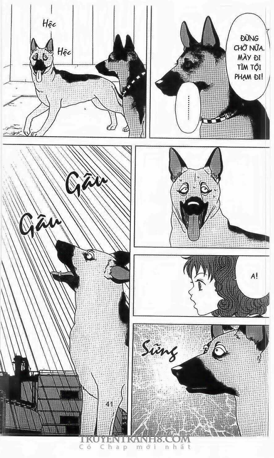 Nữ Thanh Tra Cún Con - Chapter 35 - Trang 8