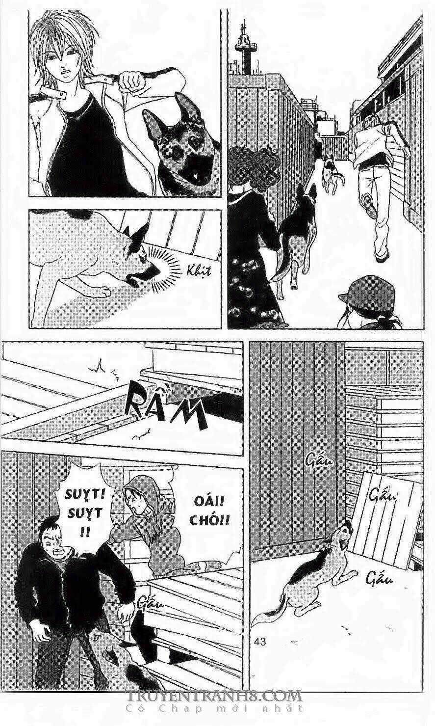 Nữ Thanh Tra Cún Con - Chapter 35 - Trang 10