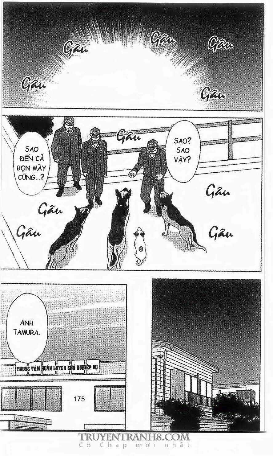 Nữ Thanh Tra Cún Con - Chapter 39 - Trang 22