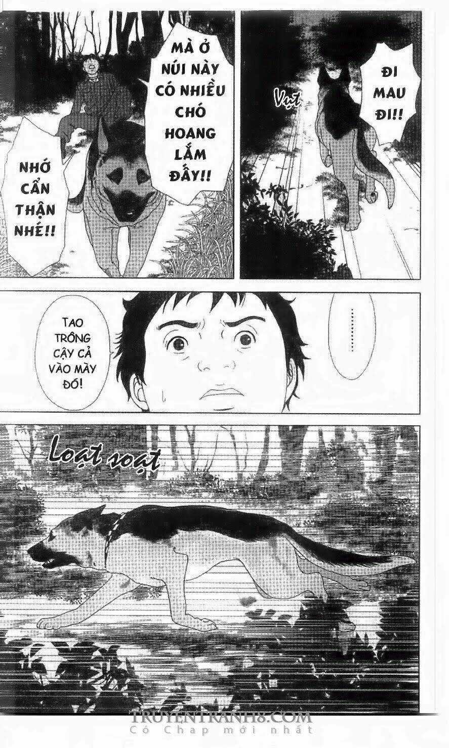 Nữ Thanh Tra Cún Con - Chapter 50 - Trang 11