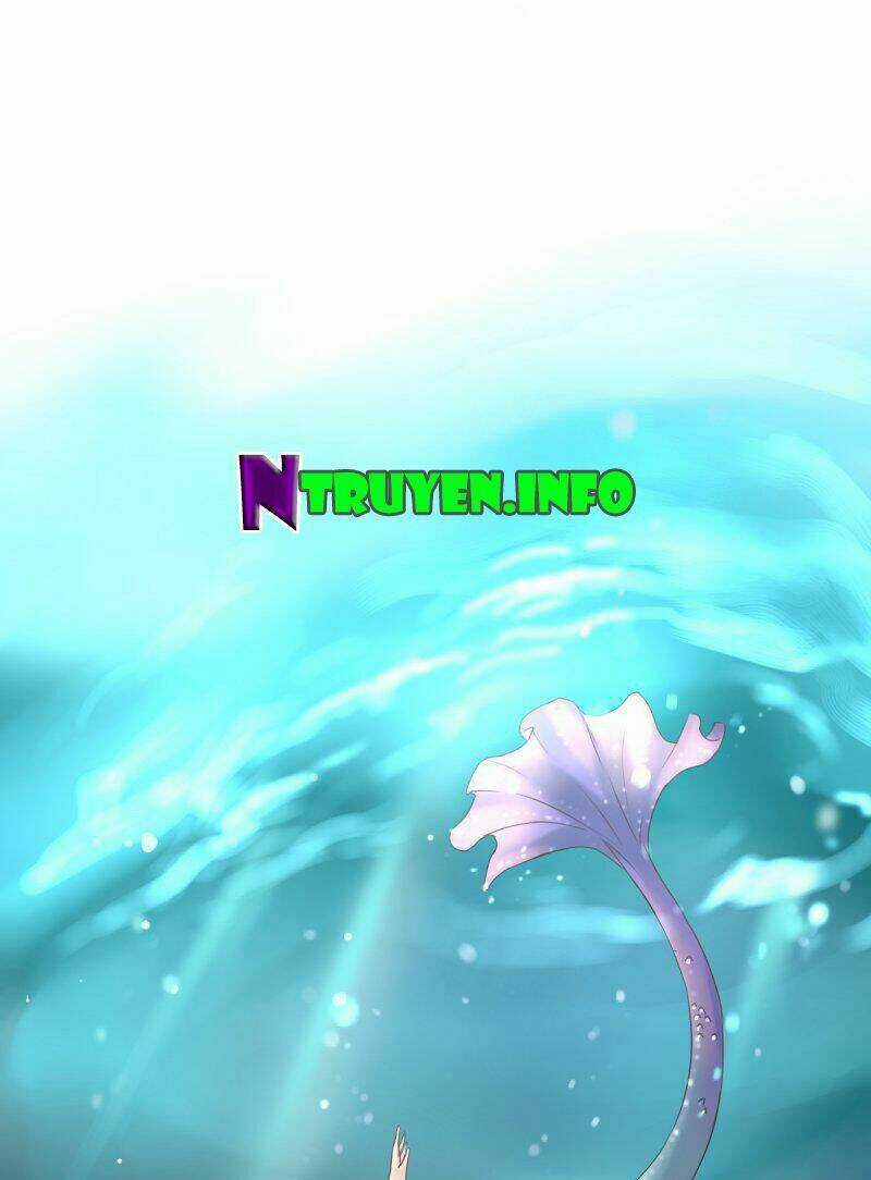 Nước Mắt Người Cá - Chapter 1 - Trang 29