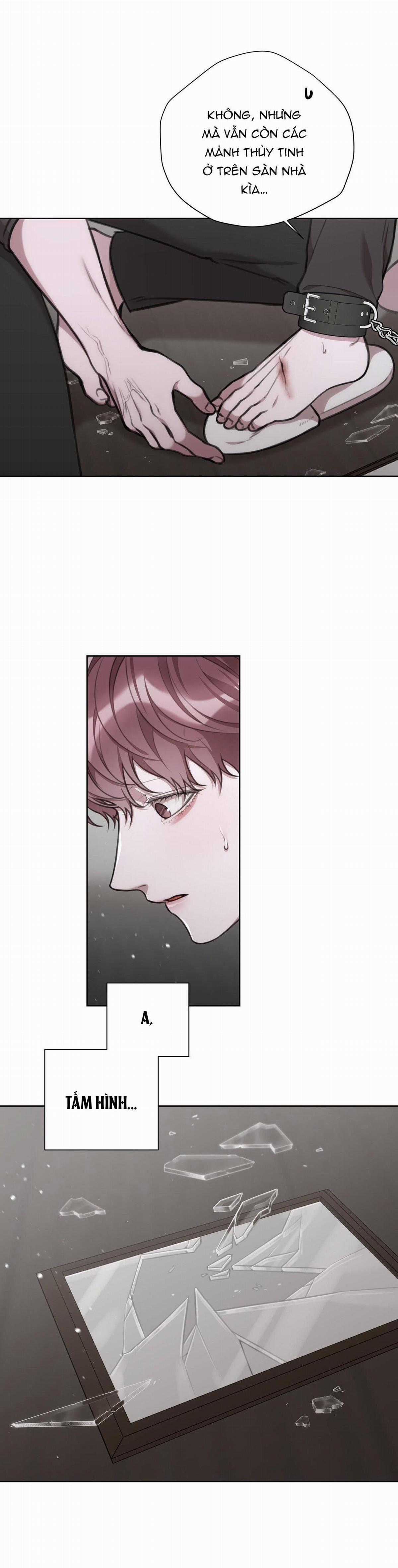 Nuôi Chồng Từ Bé - Chapter 28 - Trang 11