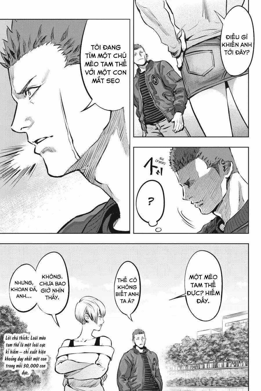 Nyankees - Chapter 1 - Trang 18