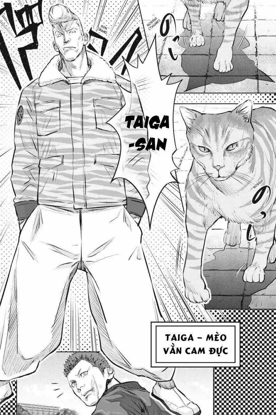 Nyankees - Chapter 1 - Trang 29