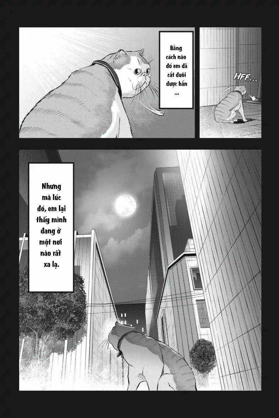 Nyankees - Chapter 10 - Trang 19