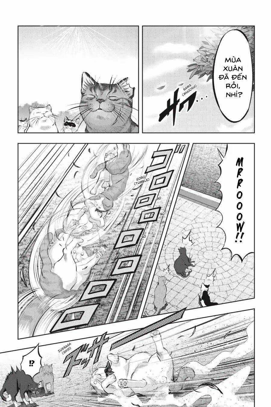 Nyankees - Chapter 10 - Trang 7