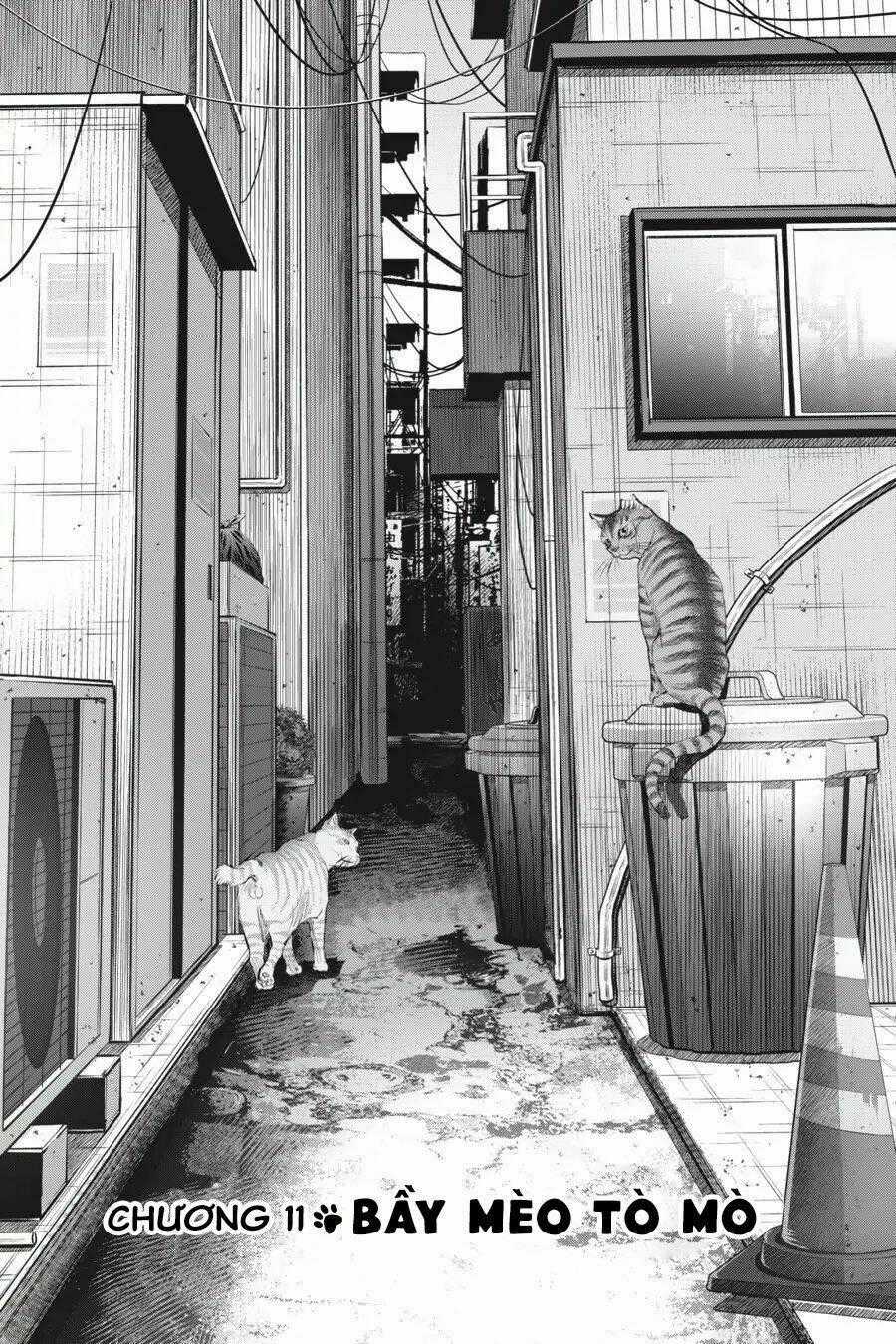 Nyankees - Chapter 11 - Trang 2