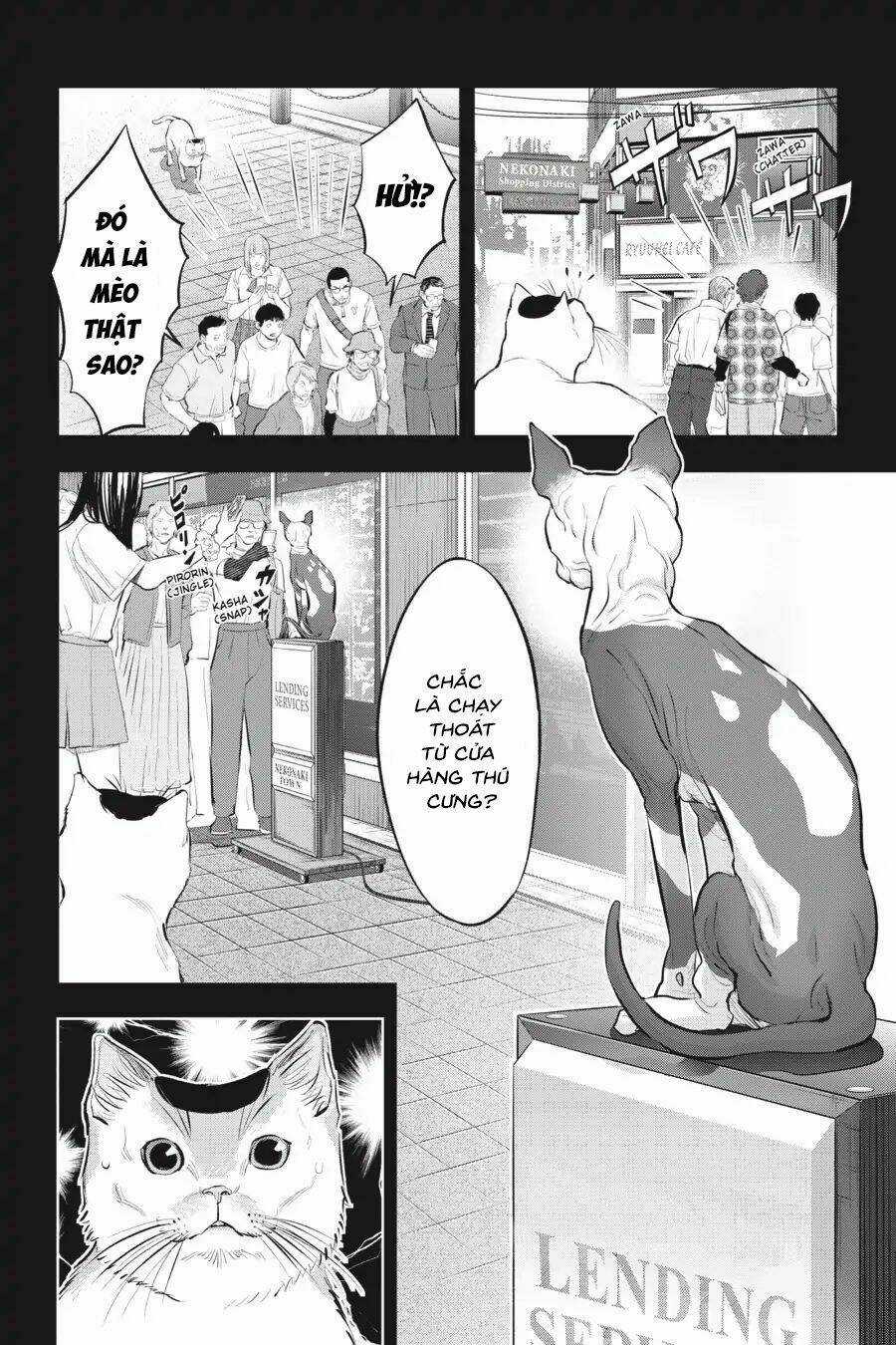 Nyankees - Chapter 11 - Trang 15