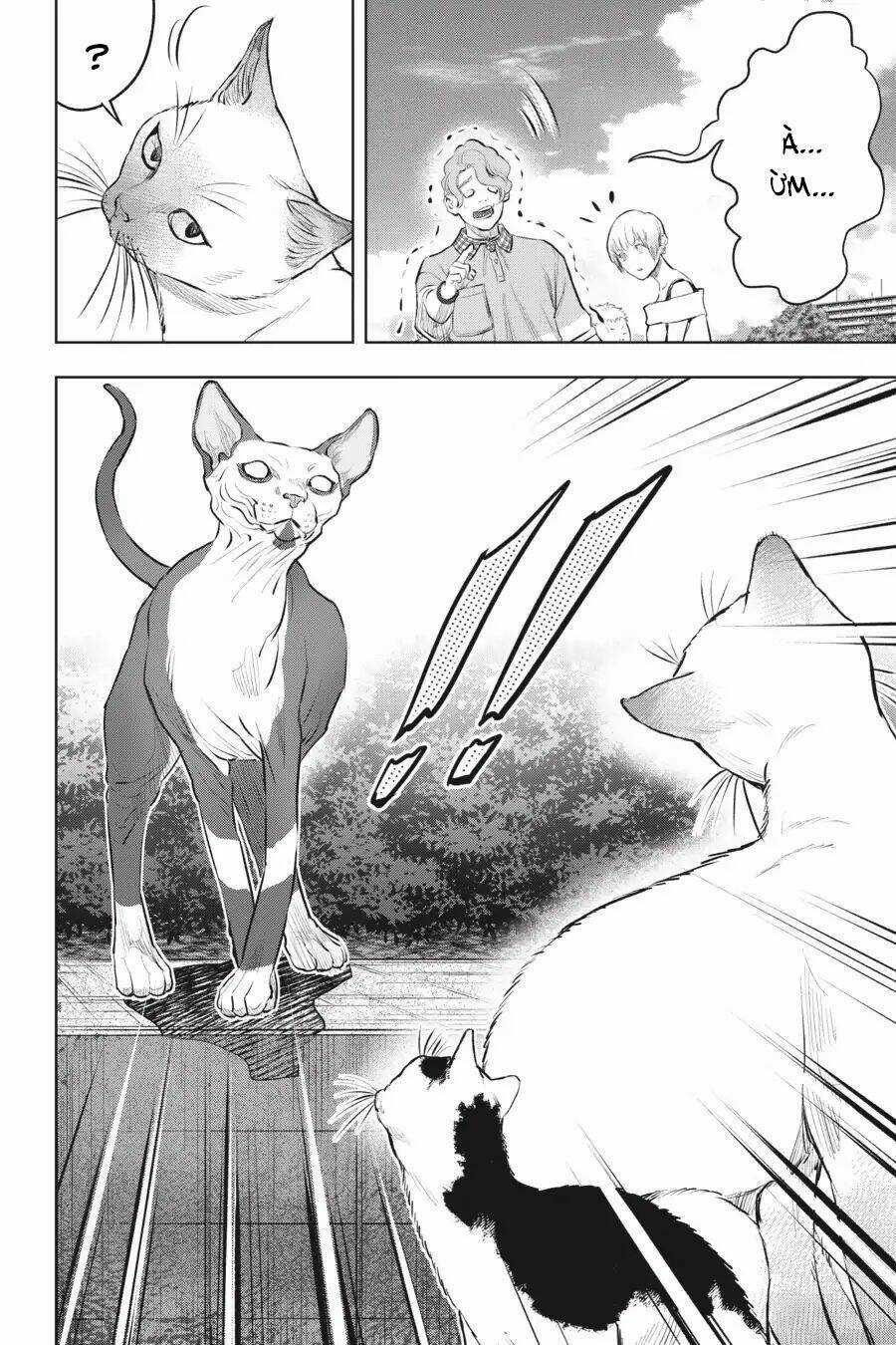 Nyankees - Chapter 12 - Trang 35