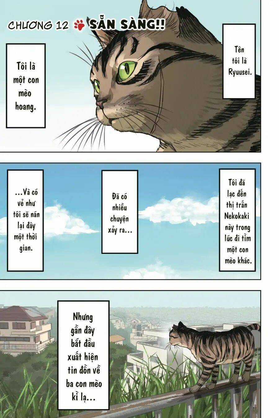 Nyankees - Chapter 12 - Trang 5