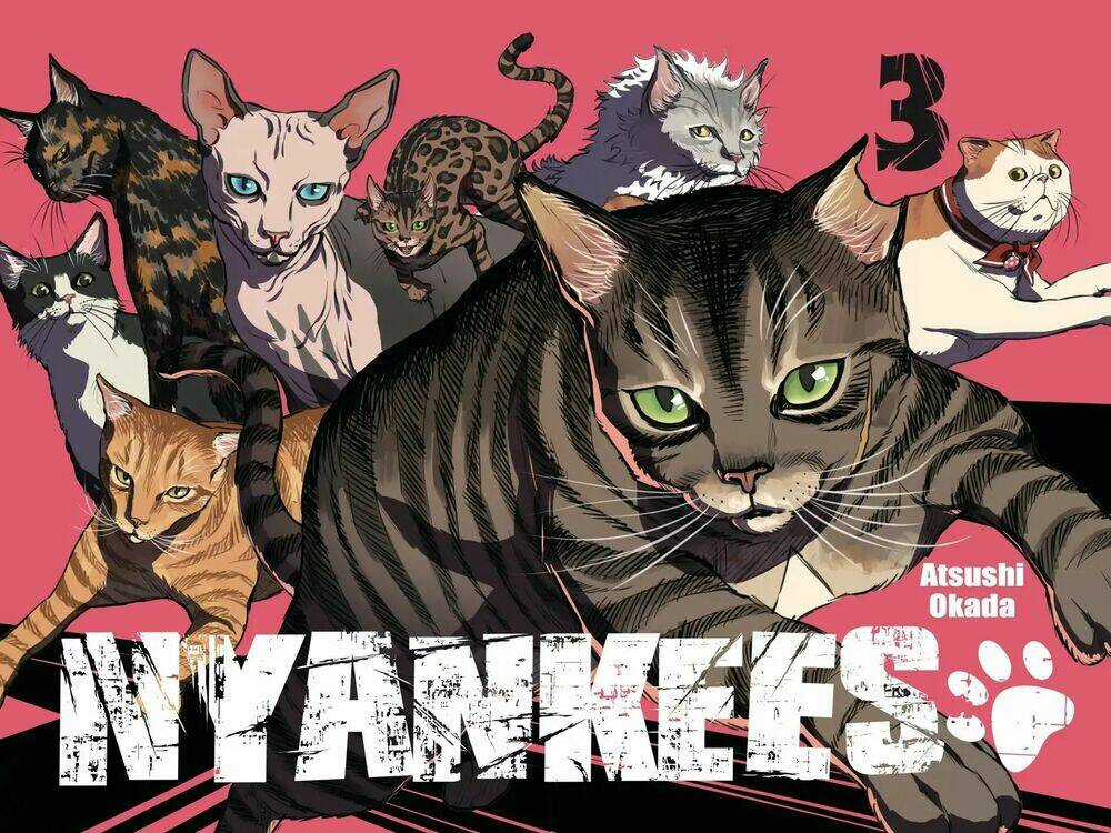 Nyankees - Chapter 12 - Trang 6