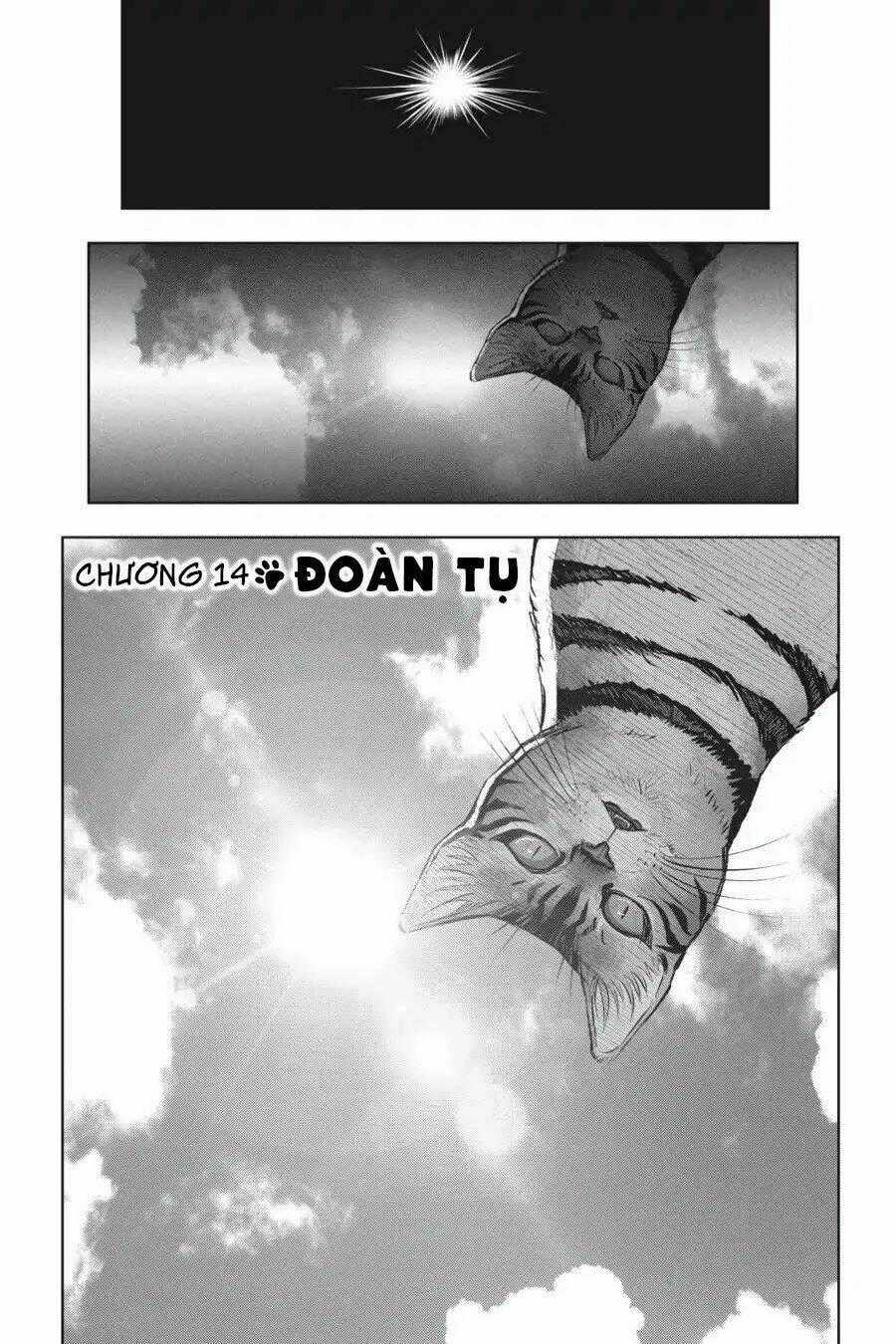 Nyankees - Chapter 14 - Trang 2