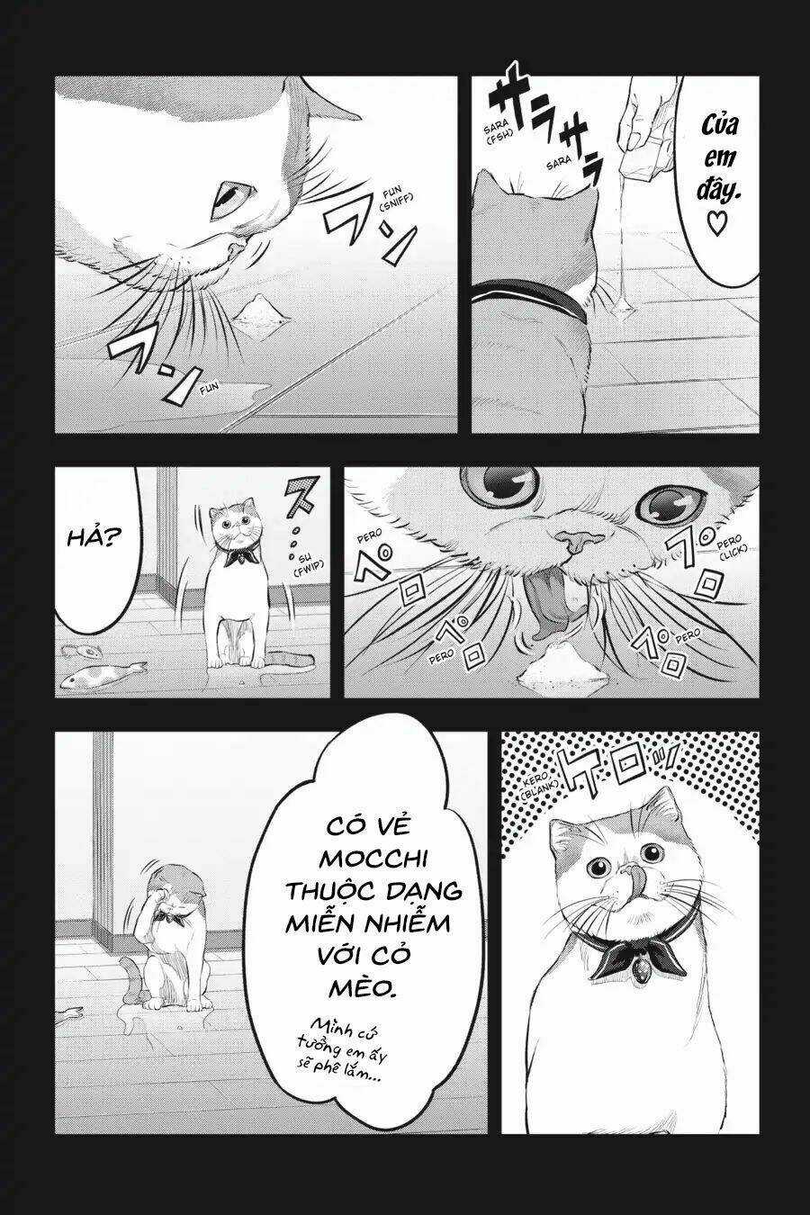 Nyankees - Chapter 14 - Trang 20