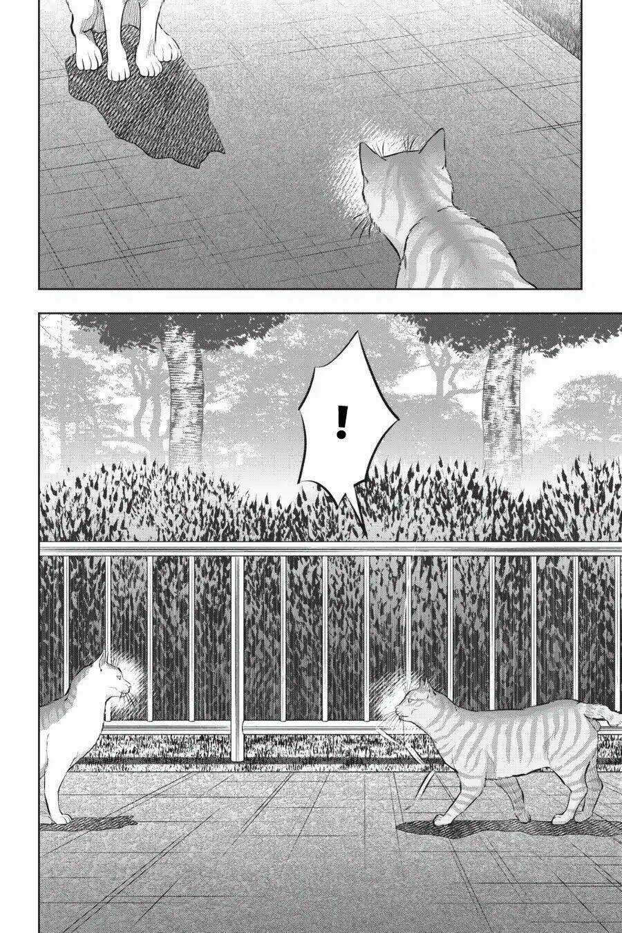 Nyankees - Chapter 14 - Trang 33