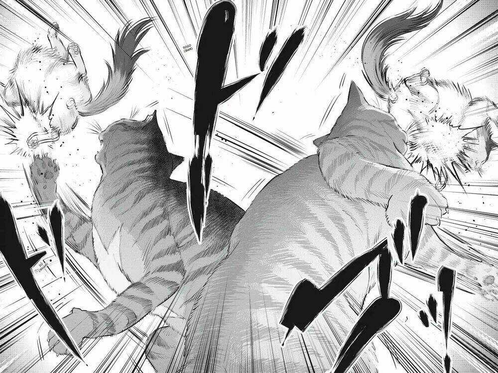 Nyankees - Chapter 4 - Trang 13