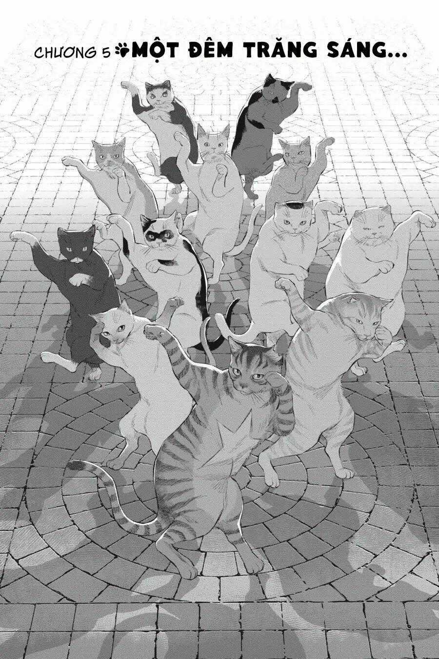 Nyankees - Chapter 5 - Trang 2