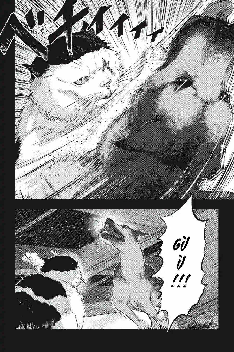 Nyankees - Chapter 7 - Trang 14