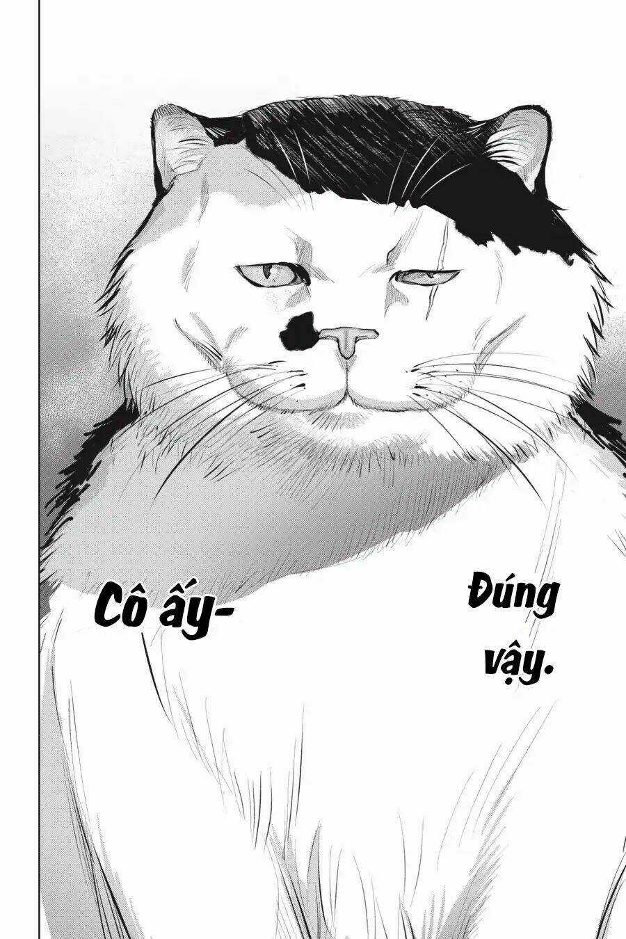 Nyankees - Chapter 7 - Trang 18