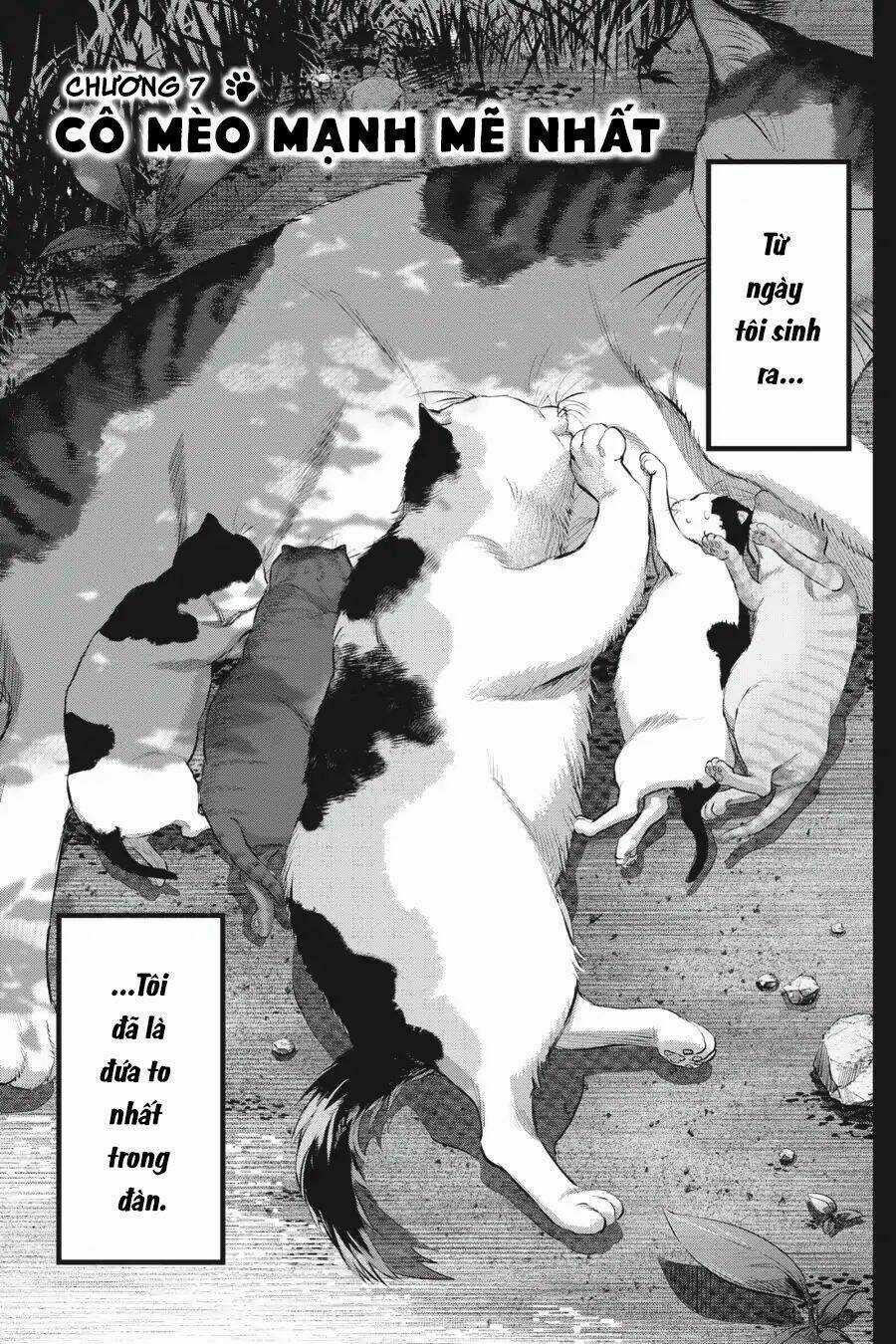 Nyankees - Chapter 7 - Trang 5