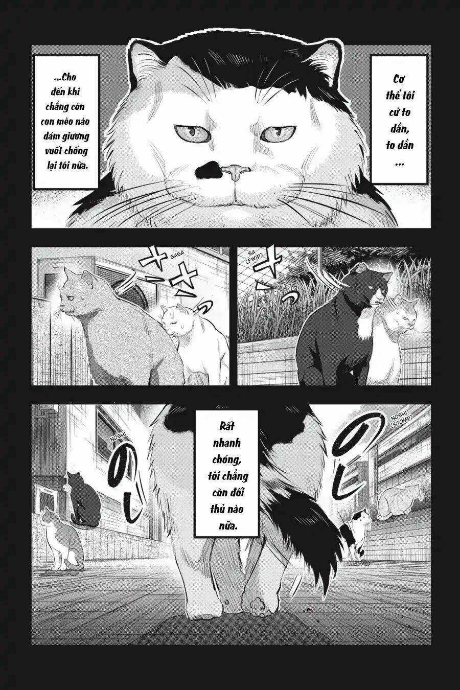 Nyankees - Chapter 7 - Trang 7