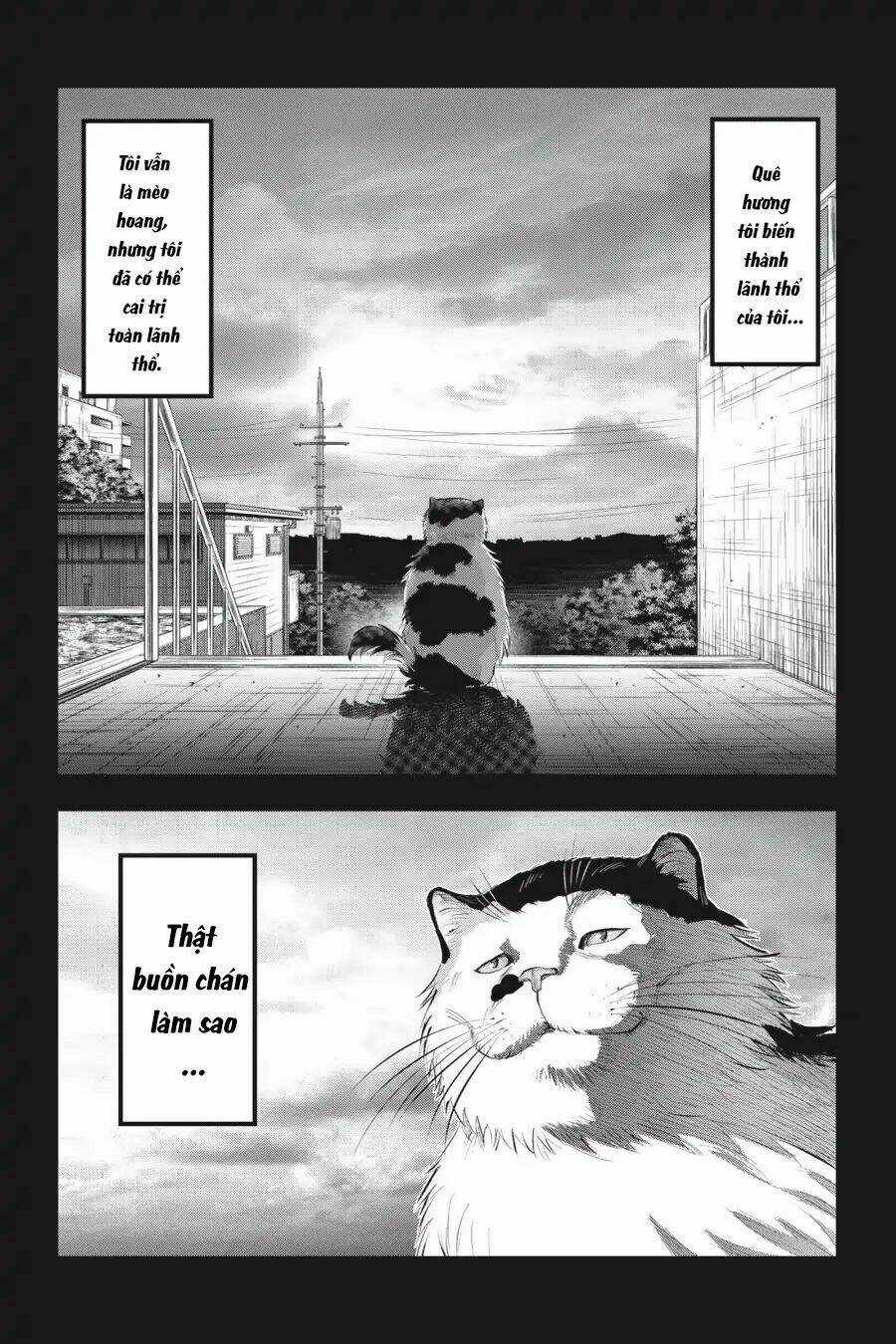 Nyankees - Chapter 7 - Trang 8